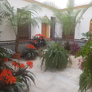 Apartamento Casa Típica Cordobesa, Córdova